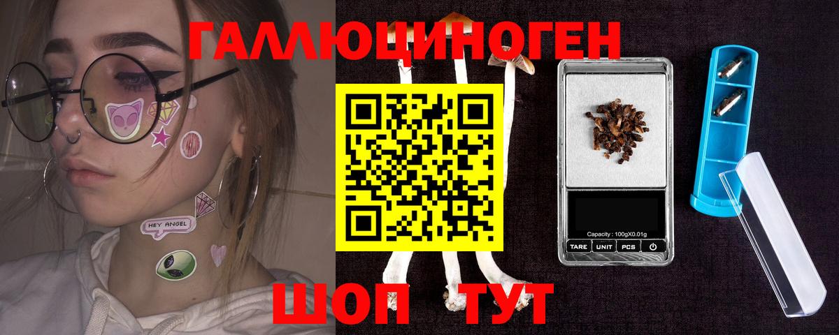Черняховск  Галлюциногенные грибы мицелий  Вход с VPN  Псилоцибиновые грибы Psilocybine cubensis 